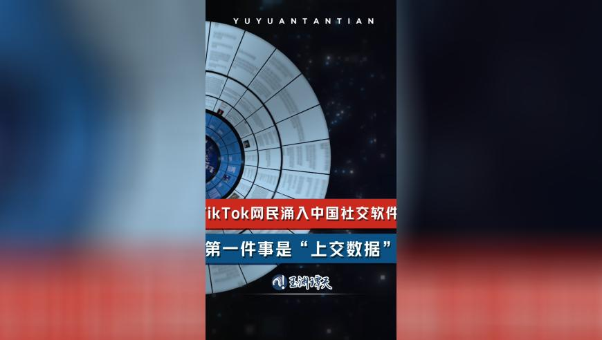 577577511王中王马中特,看唐探1900从呲个大牙到拉个大脸,收益成语分析落实_创意版V6.95