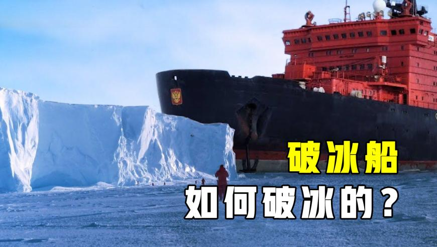 2025管家婆一肖一码100精准大全,韩晓鹏火炬手感言,重点解答解释落实_精英版V11.1