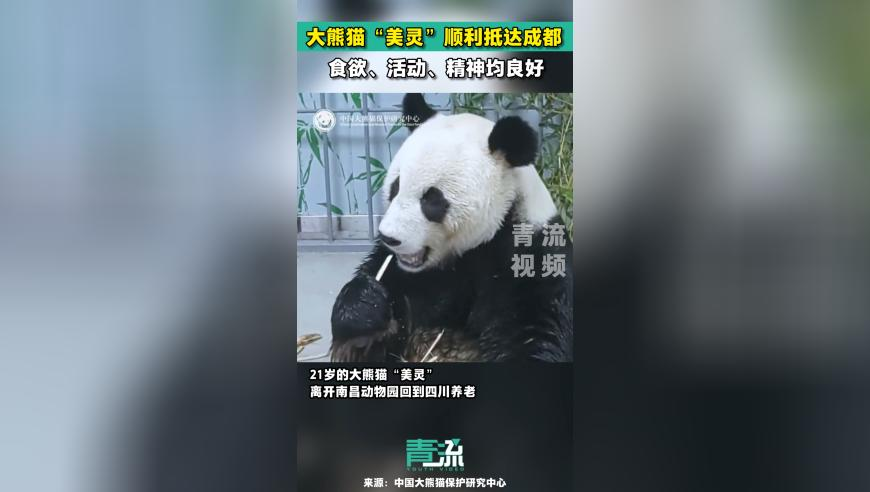 哪吒2出品人谈在台上映遇阻,抓码王每期自动更新图彩图,决策资料解释落实_探索版V14.83