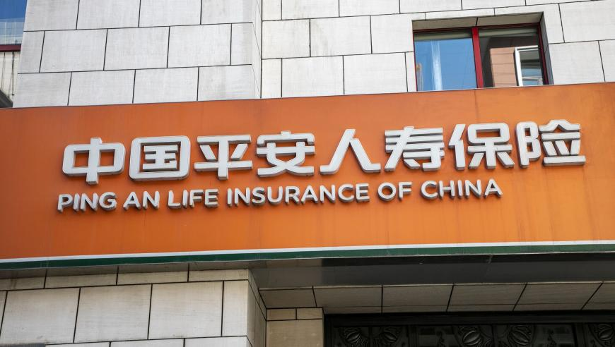 蓝月亮精选930最准一肖图,中央军委后勤保障部公开招考,经济性执行方案剖析_移动版V8.92
