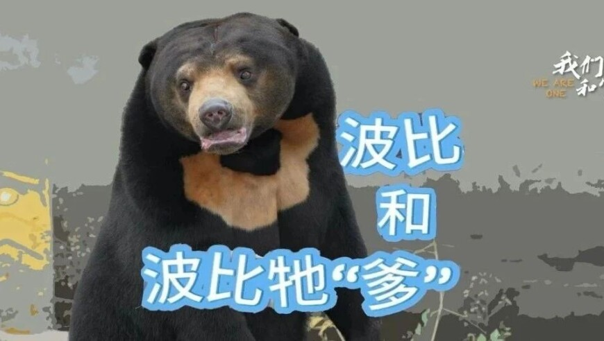 央视曝光淋巴肉真实流向,澳门开奖免费资料网香港王中王,准确资料解释落实_体验版V9.71